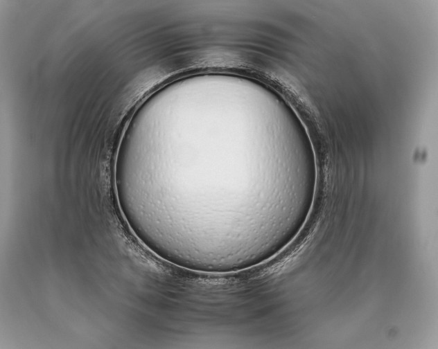 X0000089931025200707201836