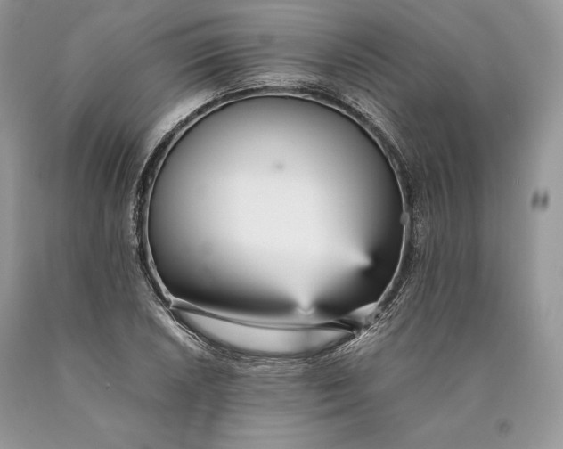 X0000089931026200707201836