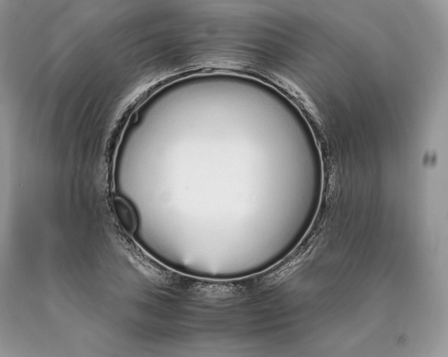 X0000089931027200707201836