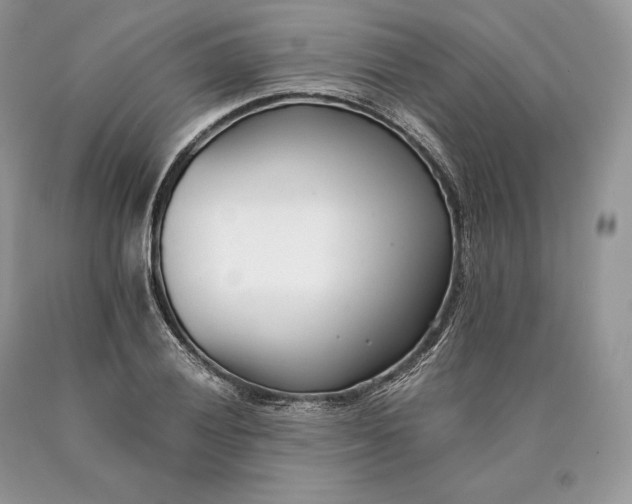 X0000089931028200707201836