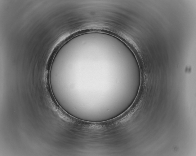 X0000089931029200707201836