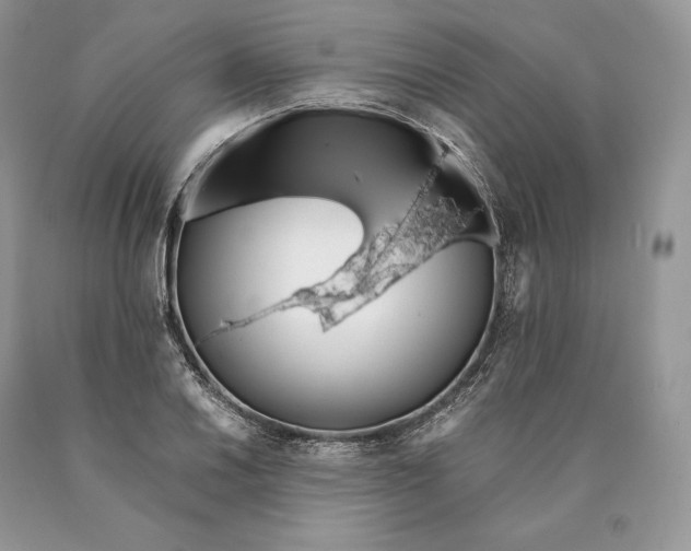 X0000089931030200707201836