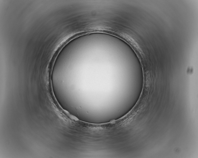 X0000089931031200707201836