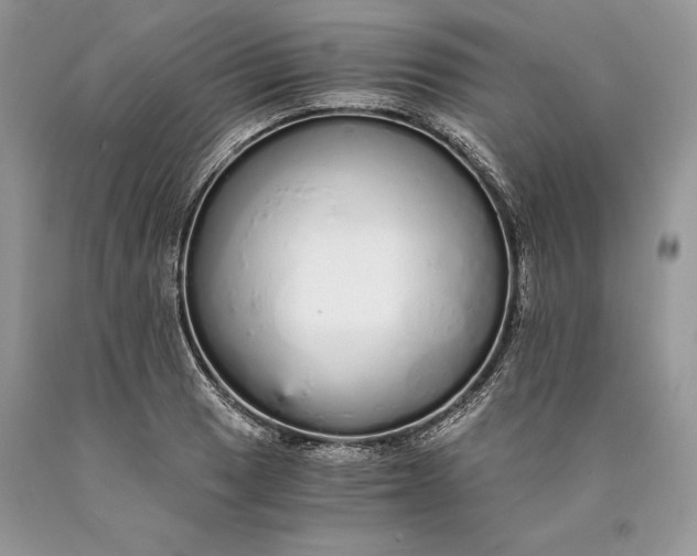 X0000089931033200707201836