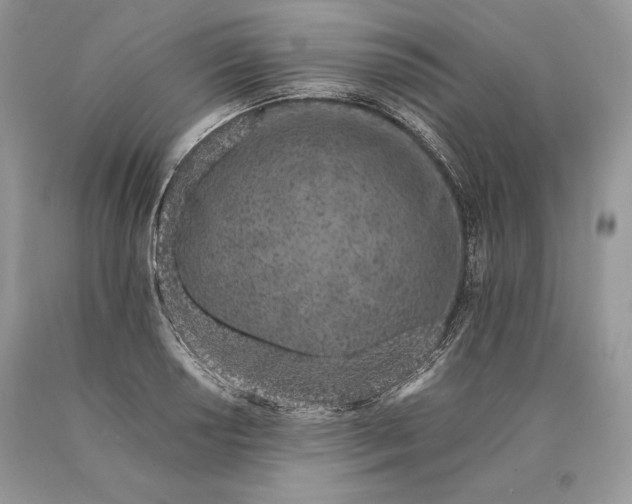 X0000089931034200707201836