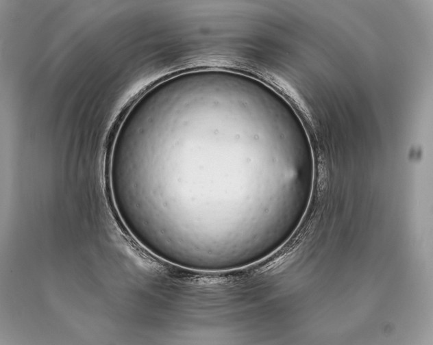 X0000089931035200707201836