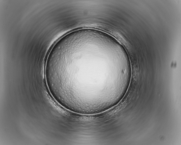 X0000089931036200707201836