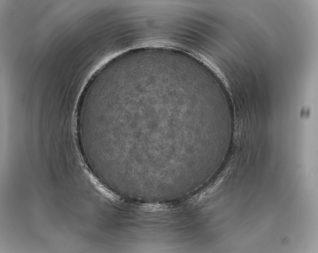 X0000089931037200707201836