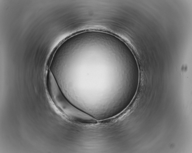 X0000089931038200707201836