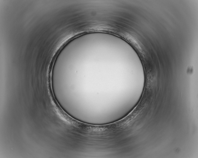 X0000089931039200707201836