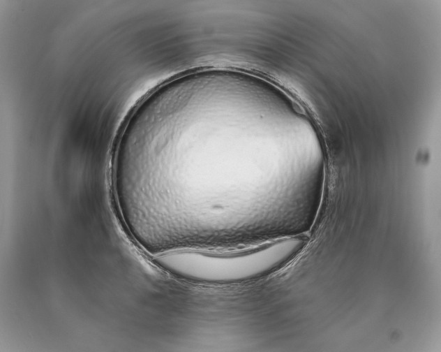 X0000089931040200707201836