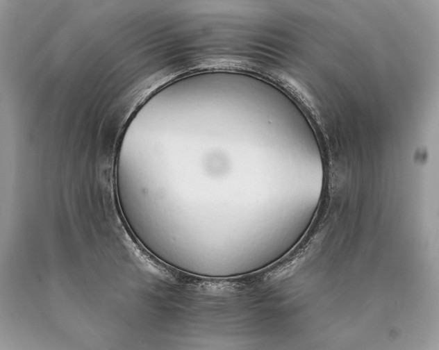 X0000089931041200707201836