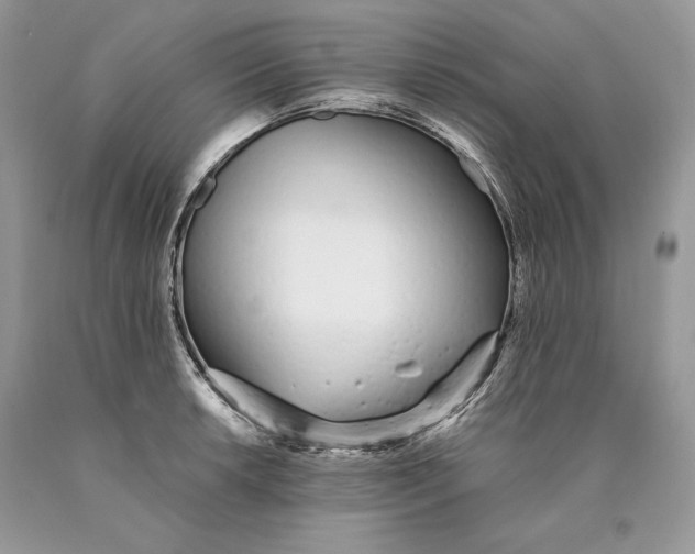 X0000089931042200707201836