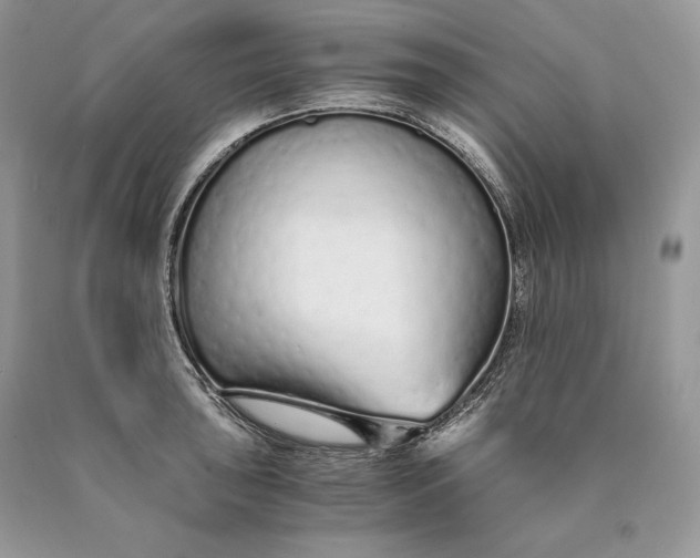 X0000089931043200707201836