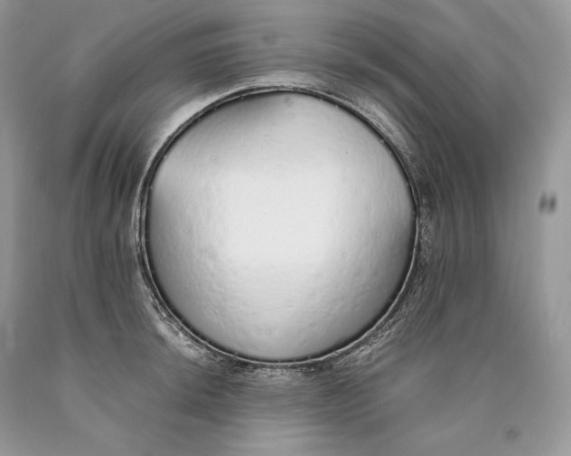 X0000089931044200707201836