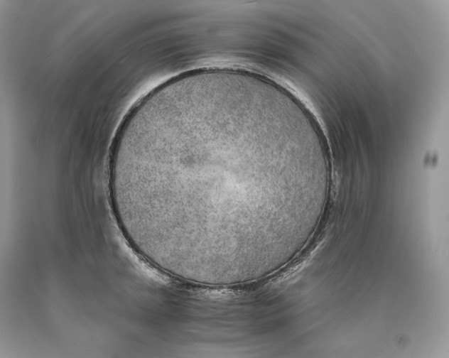 X0000089931045200707201836