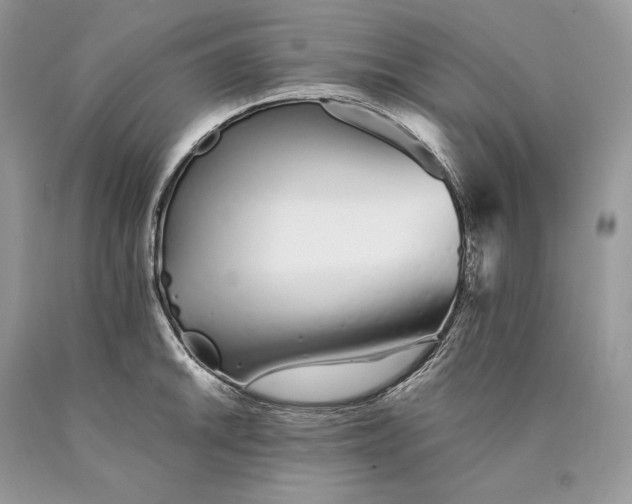 X0000089931046200707201836