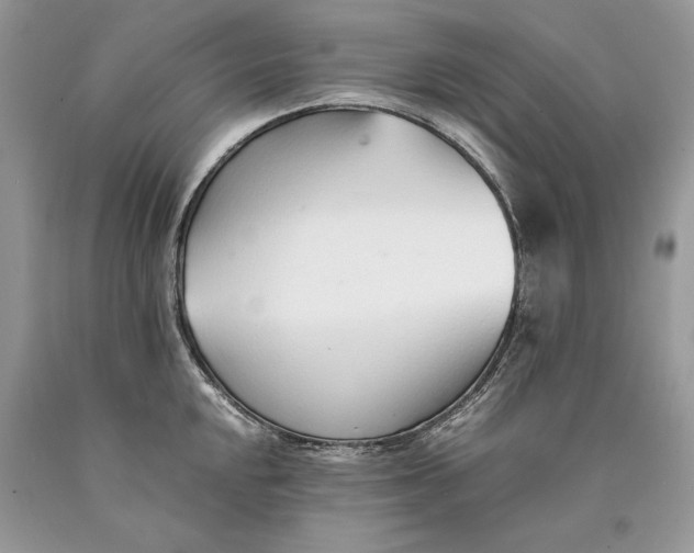 X0000089931048200707201836