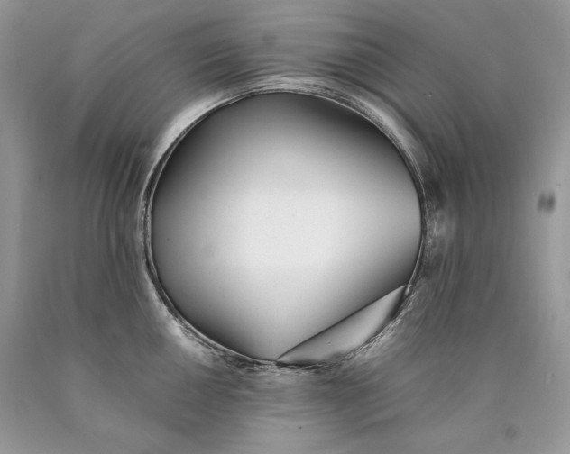 X0000089931050200707201836