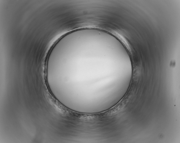 X0000089931051200707201836