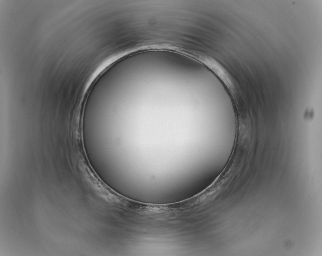 X0000089931052200707201836