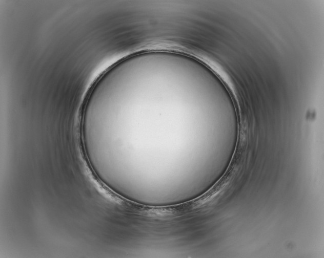 X0000089931053200707201836