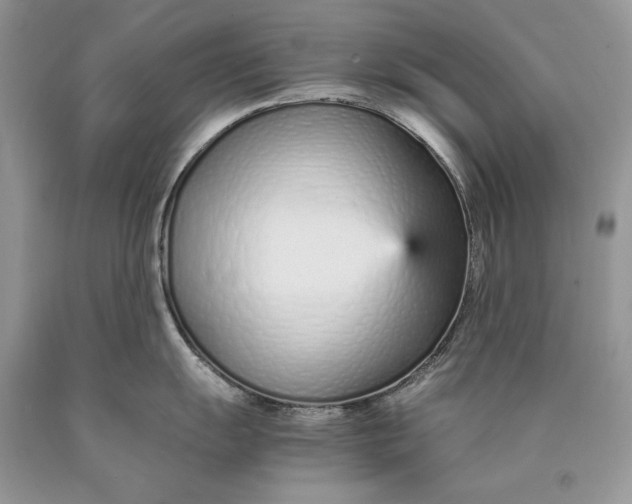 X0000089931055200707201836