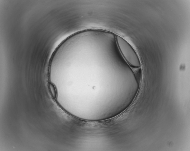 X0000089931056200707201836