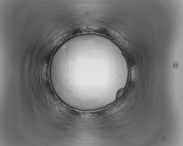 X0000089931059200707201835