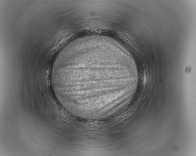 X0000089931060200707201835