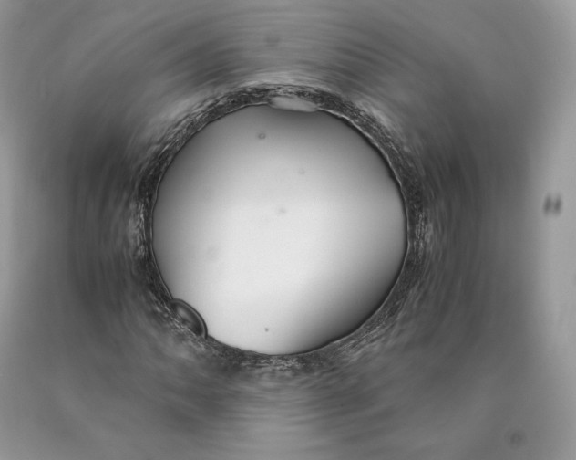 X0000089931062200707201835