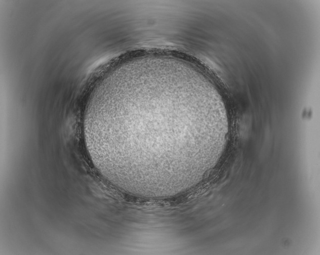 X0000089931063200707201835