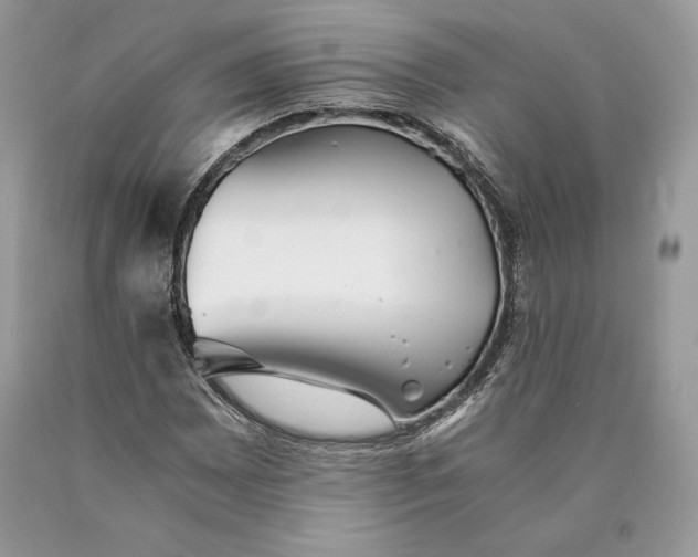 X0000089931065200707201835