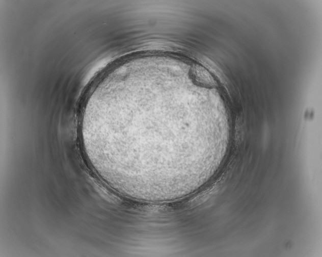 X0000089931067200707201835