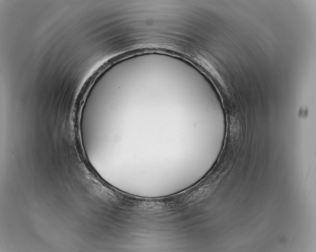 X0000089931068200707201835