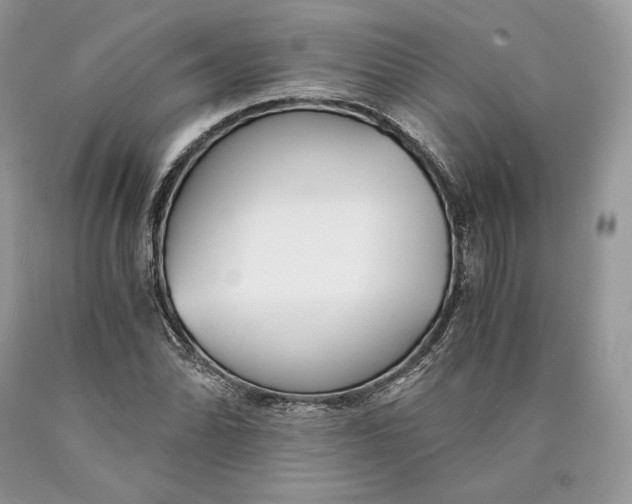 X0000089931070200707201835