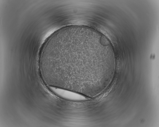 X0000089931071200707201835