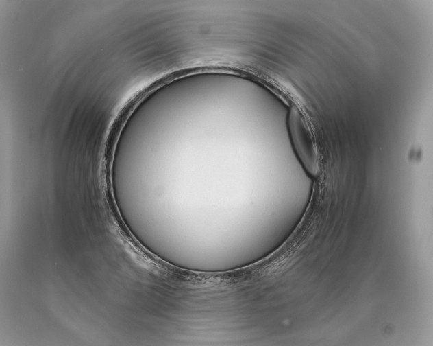 X0000089931072200707201835