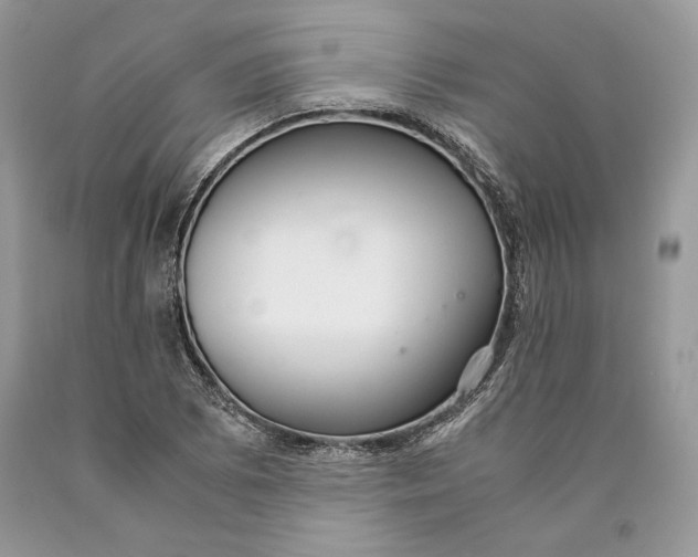 X0000089931073200707201835