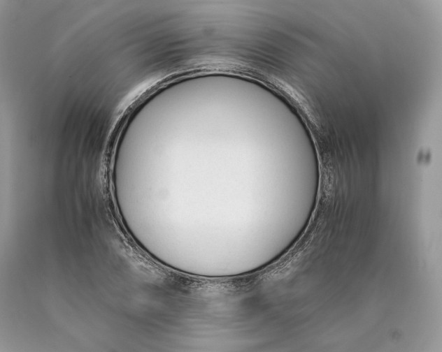 X0000089931074200707201835