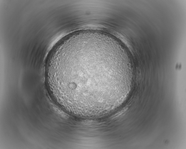 X0000089931075200707201835