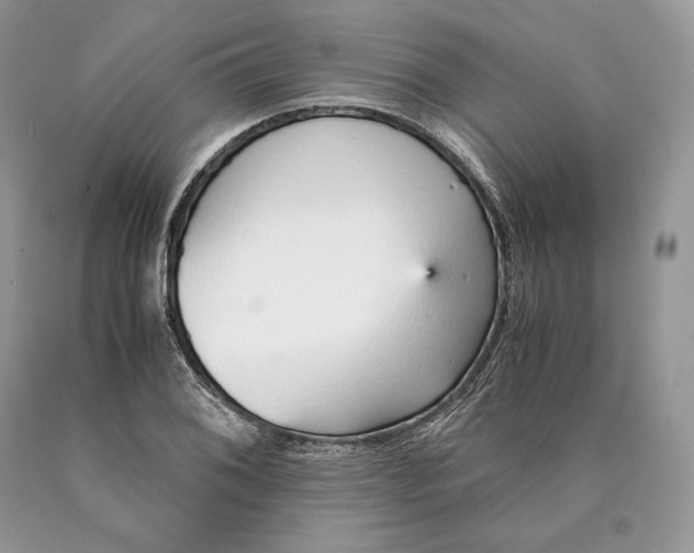 X0000089931076200707201835