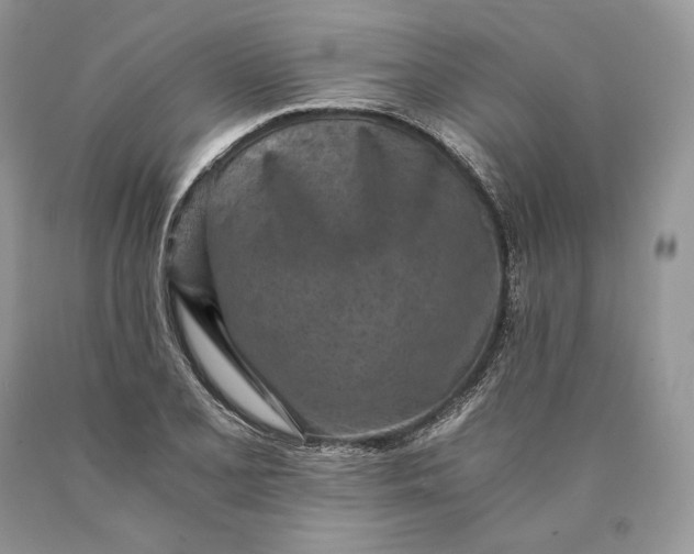 X0000089931077200707201835