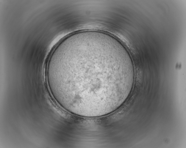 X0000089931078200707201835