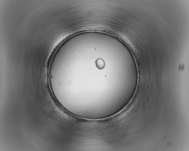 X0000089931079200707201835