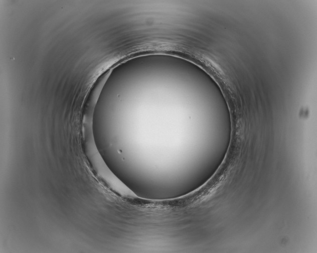 X0000089931081200707201835