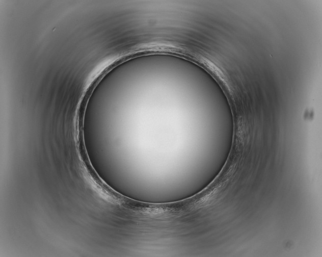 X0000089931082200707201835