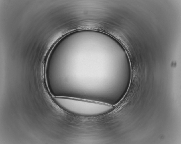 X0000089931083200707201835