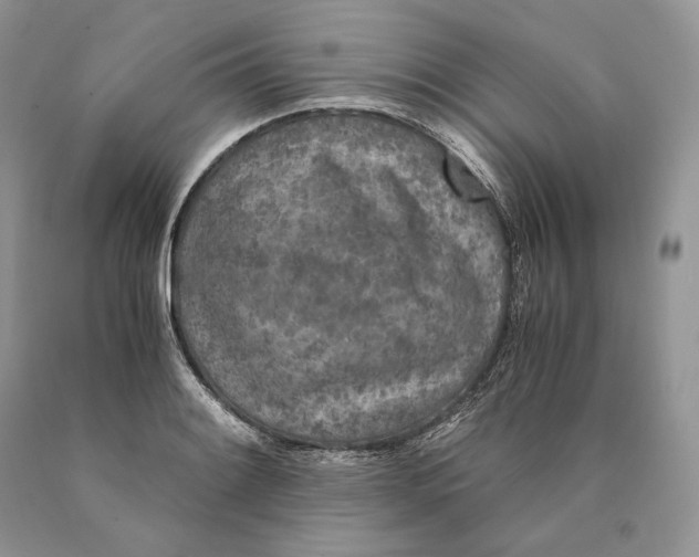 X0000089931084200707201835