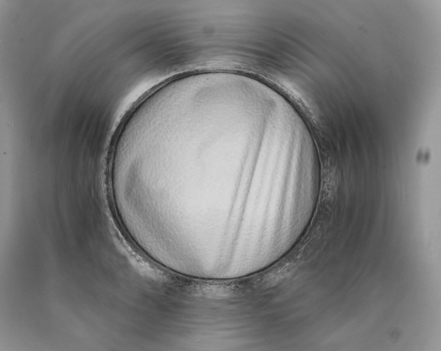 X0000089931086200707201835